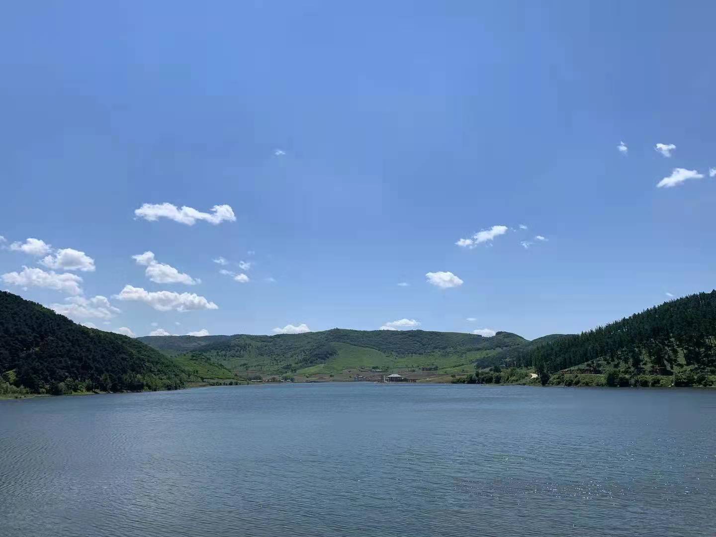 沈阳青云山公墓中元节河灯礼祭 传孝道文化获好评